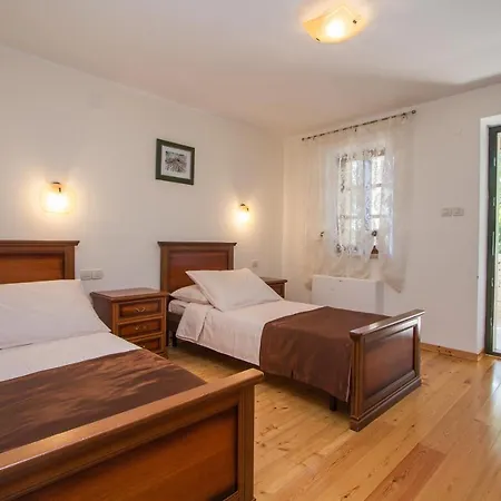 فيلة Kringa Tinjan